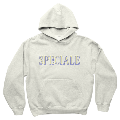 SPECIALE HOODIE WARM GRAY