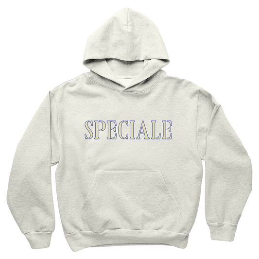 SPECIALE HOODIE WARM GRAY